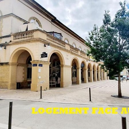 Le Wlerick 1 - Hyper Centre - Au Calme - Wifi Apartment Mont-de-Marsan Exterior photo